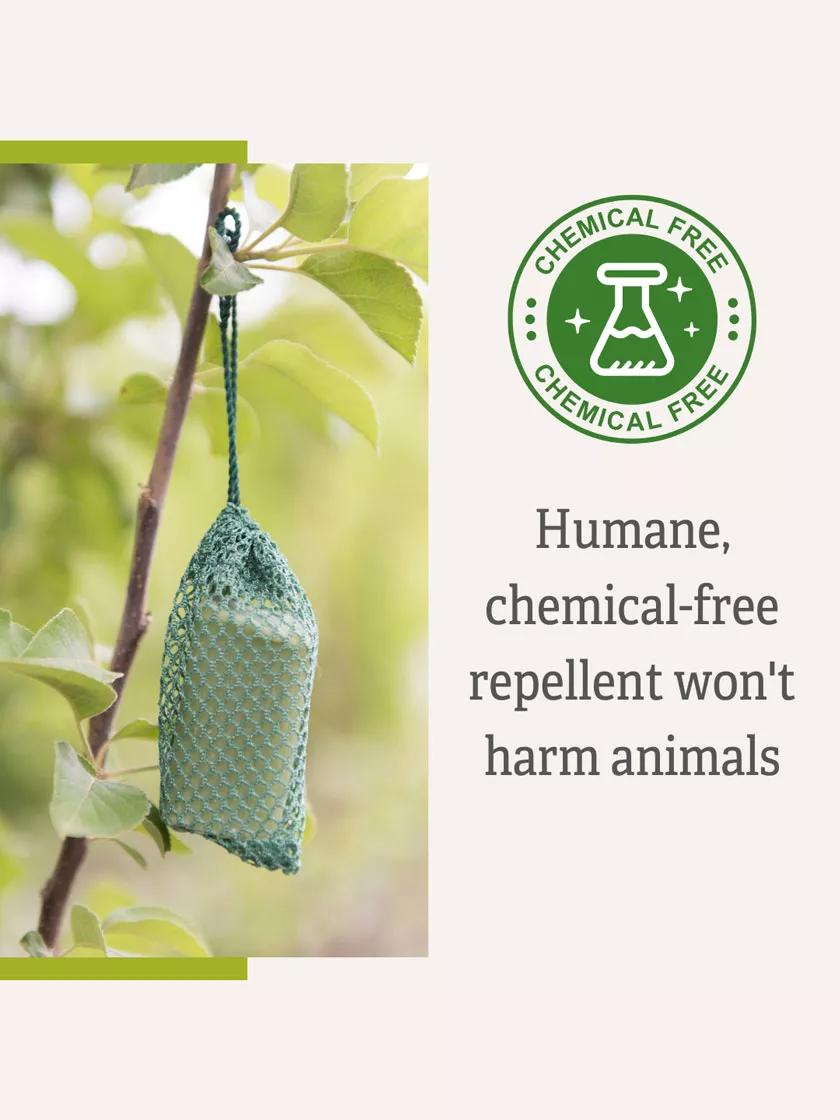 Deer No No, Set of 6