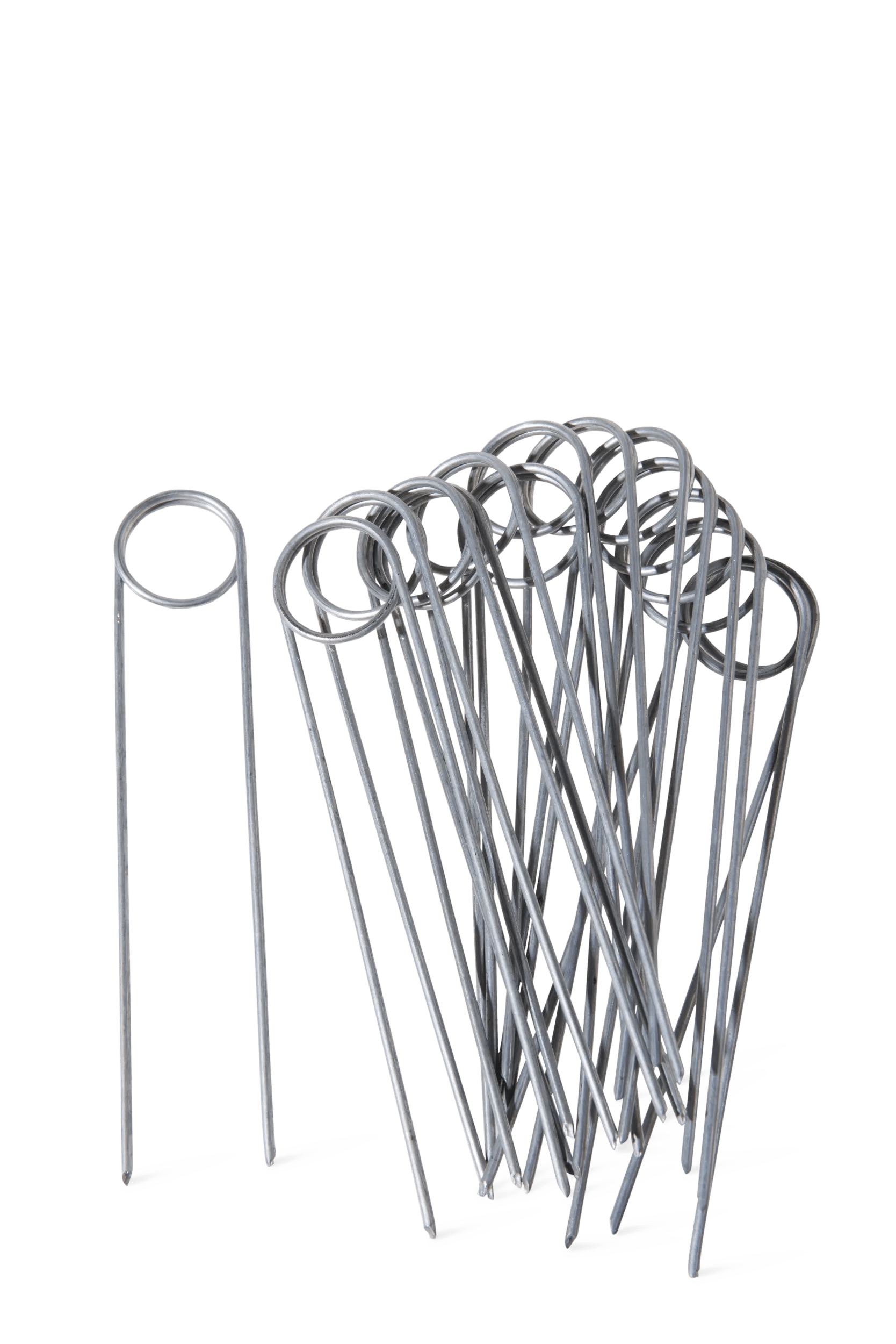 Easy-Out Earth Staples, Set of 15