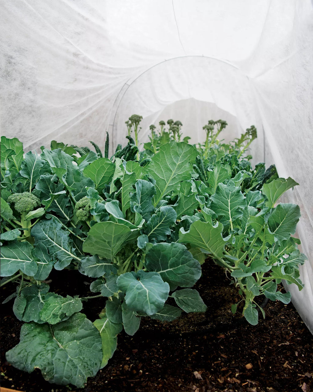 Summerweight Garden Fabric