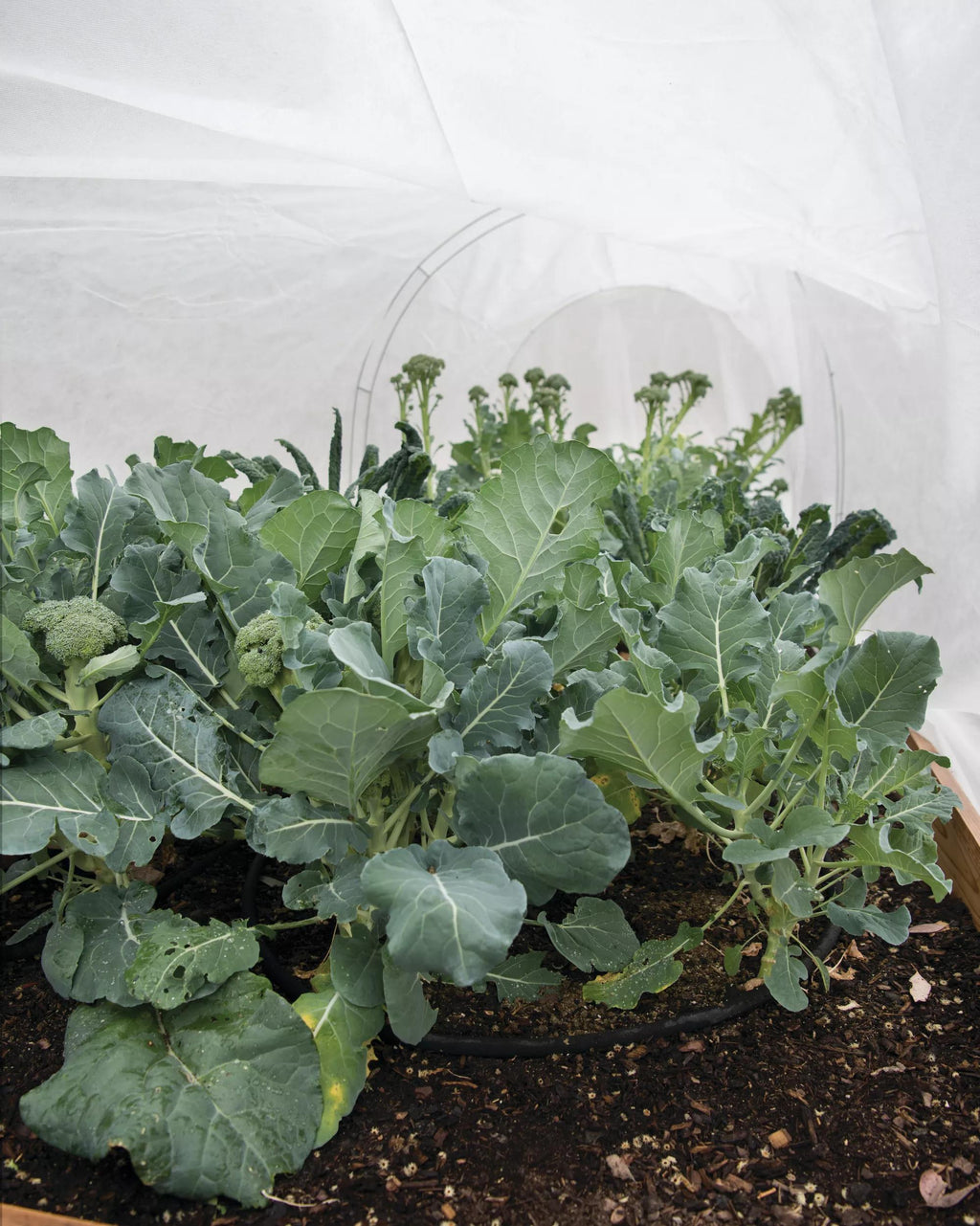 All-Purpose Garden Fabric