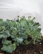 All-Purpose Garden Fabric