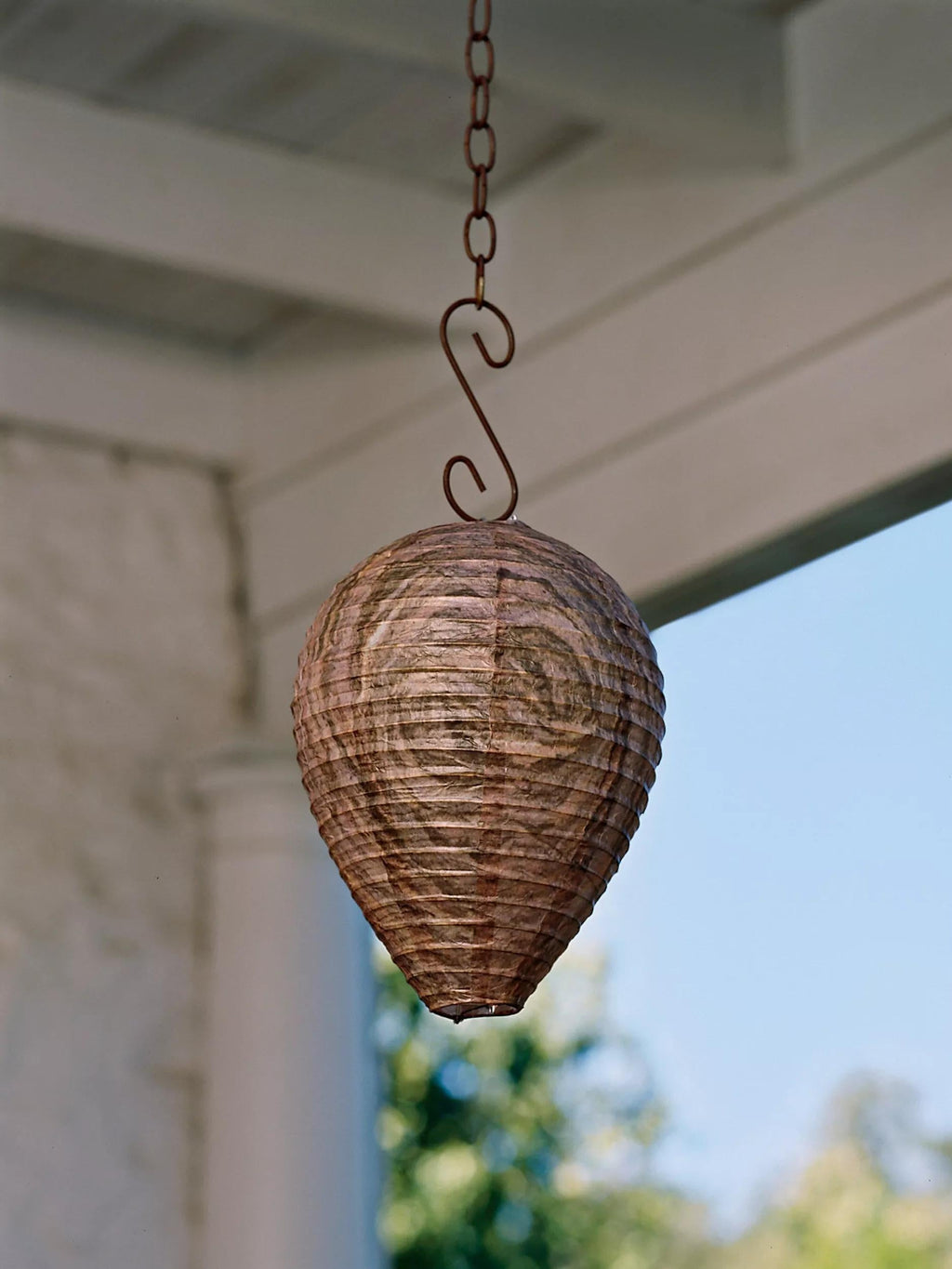 Natural Wasp Deterrent, Set of 2