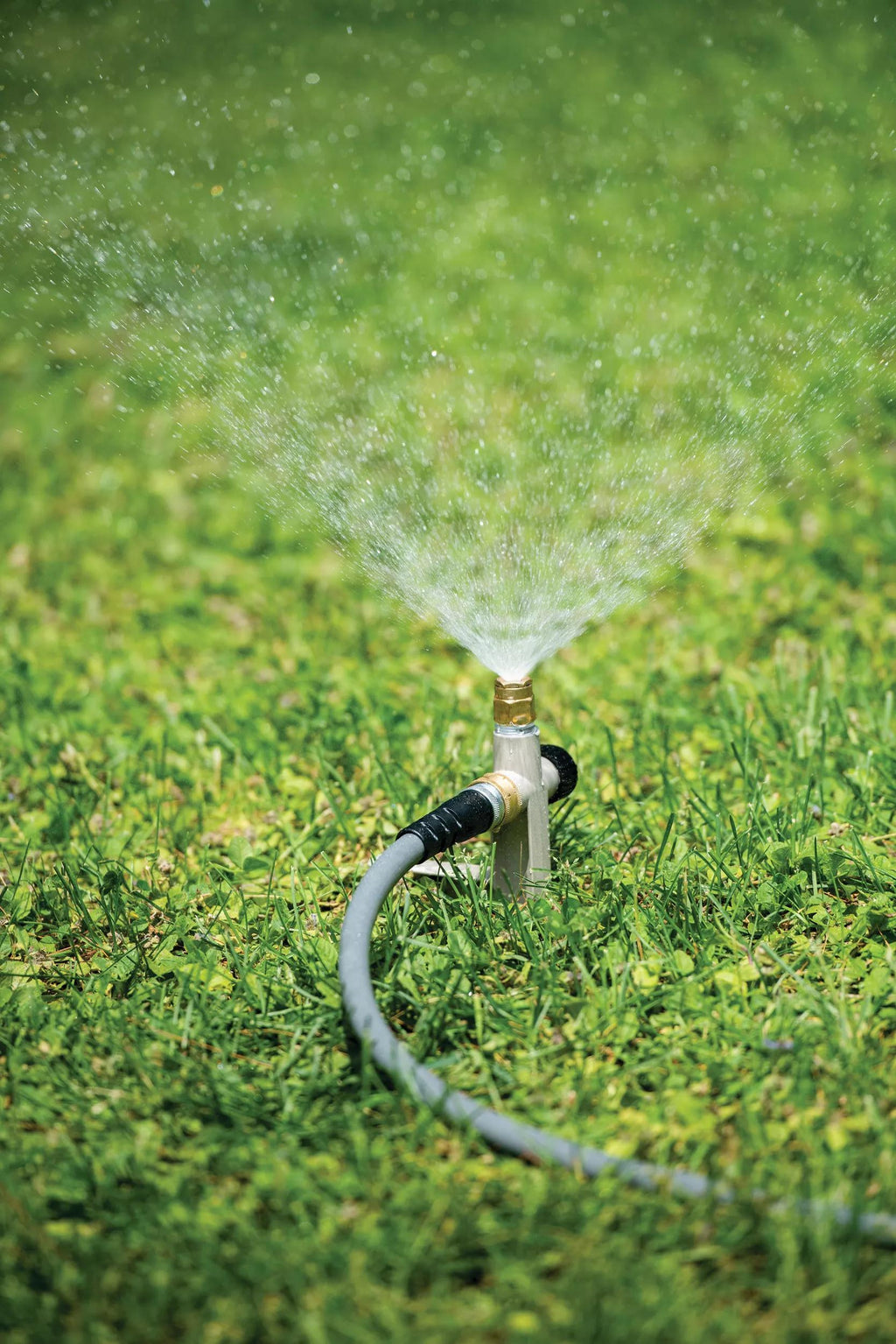 Lifetime Sprinkler