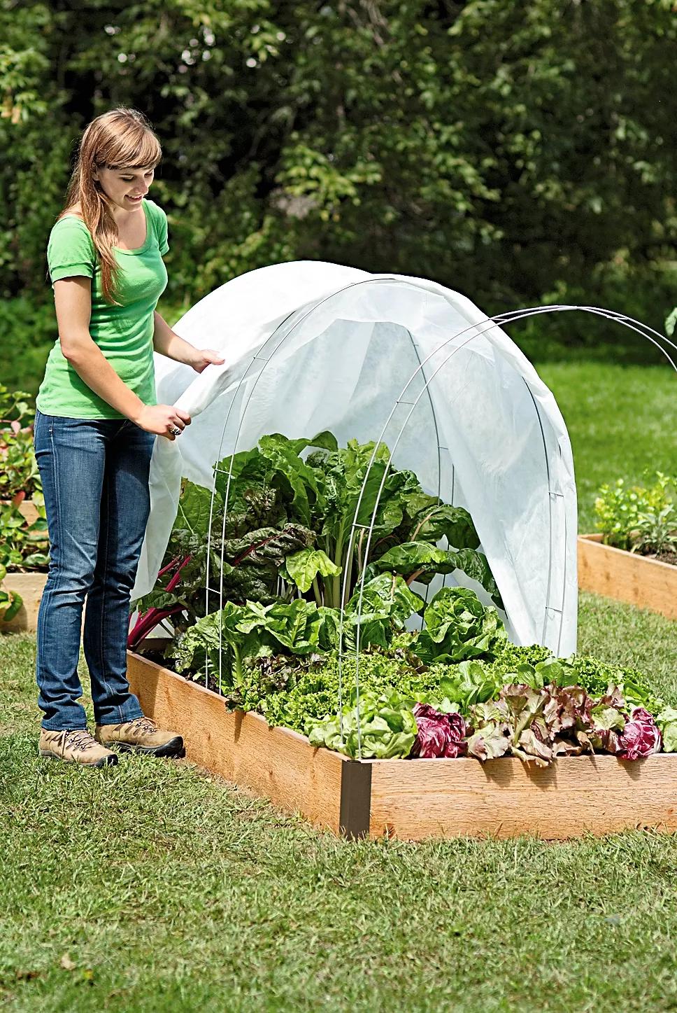 Super Hoops, Set of 6