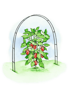 Super Hoops, Set of 6