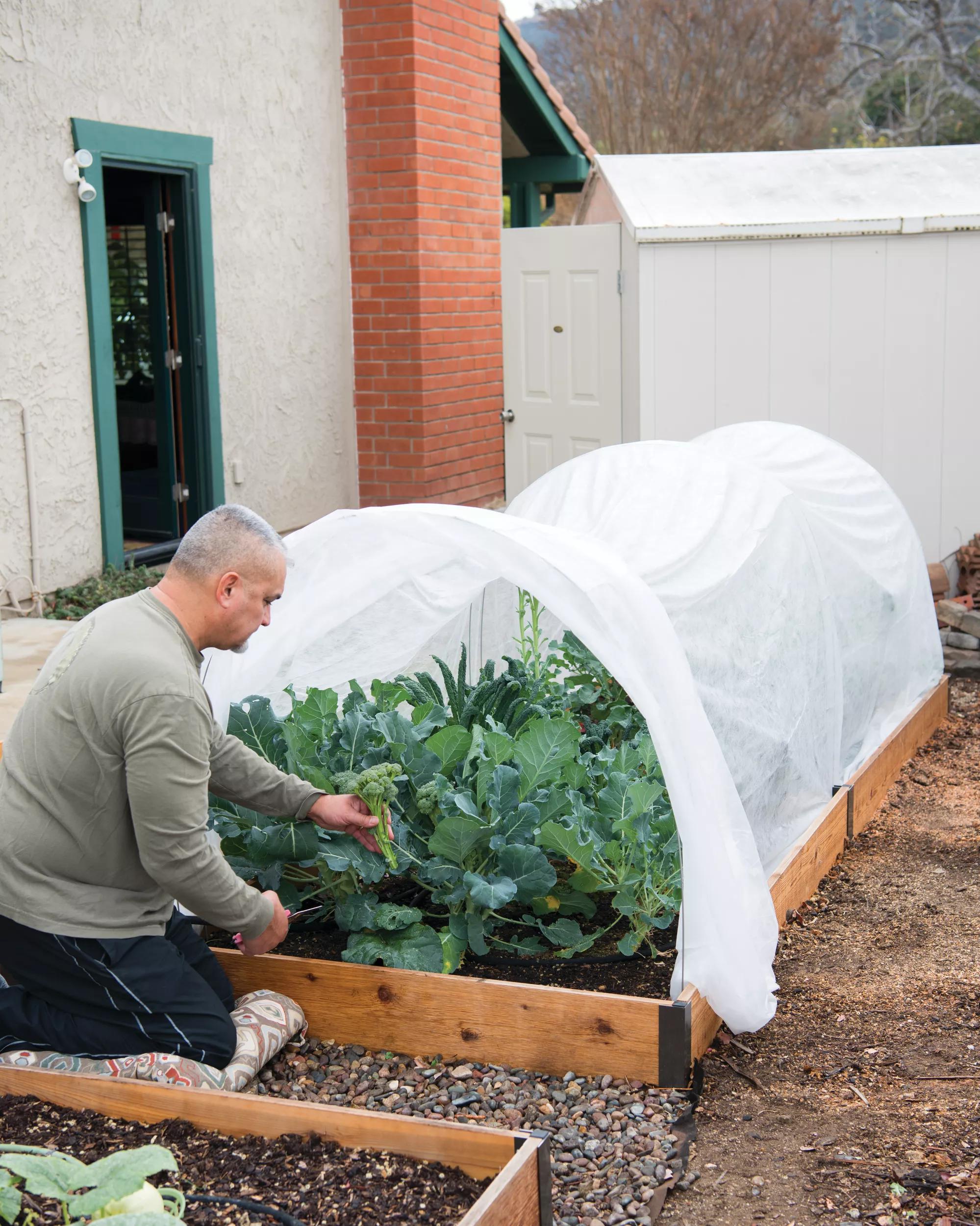 All-Purpose Garden Fabric