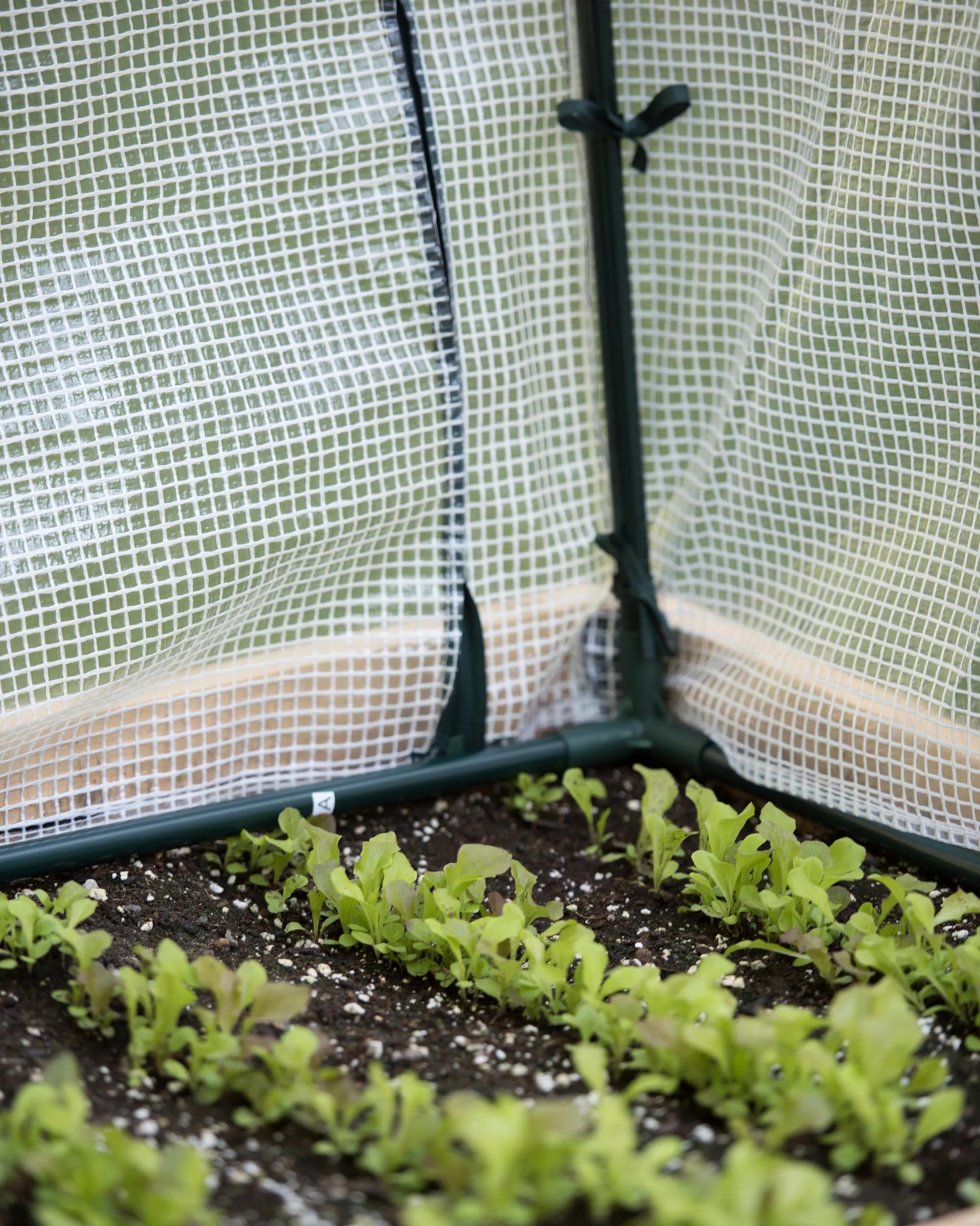 Protection Frame & Covers, 2' x 4'