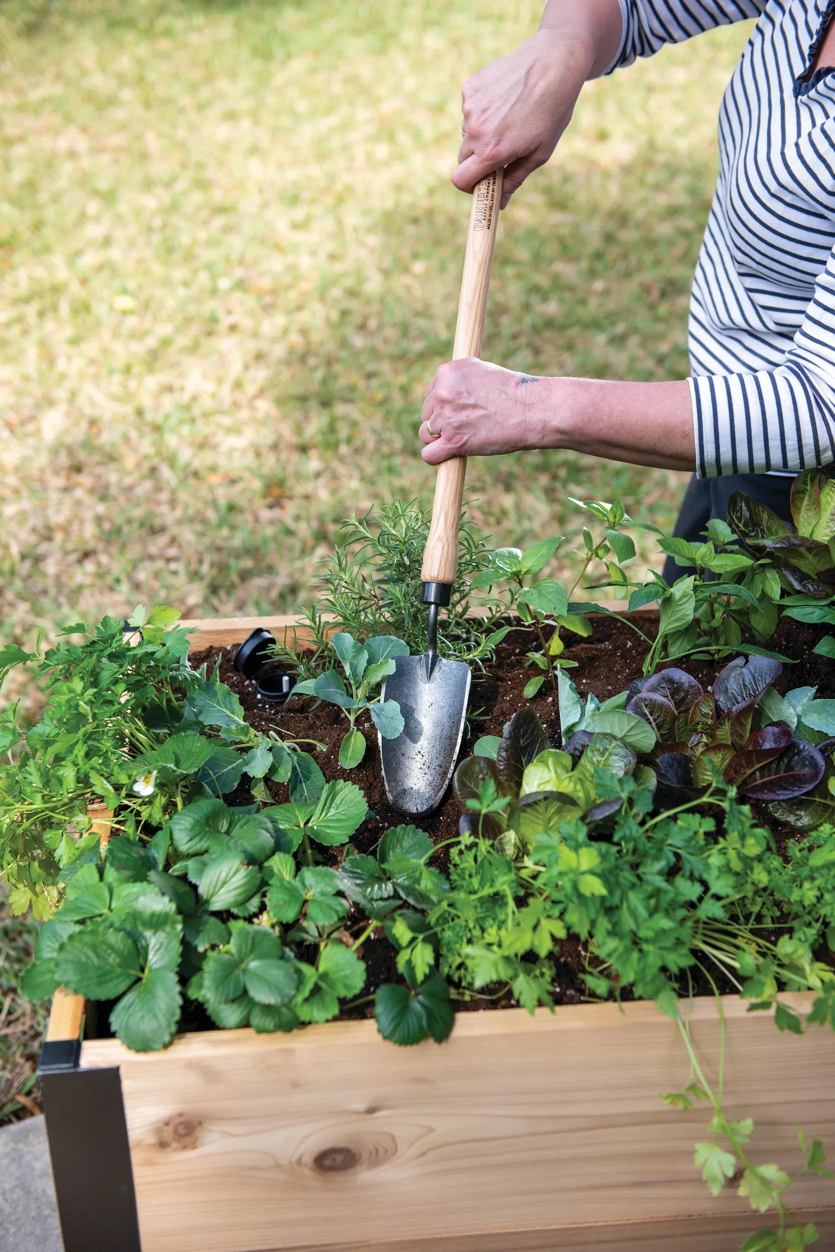Gardener's Lifetime Raised Bed Trowel