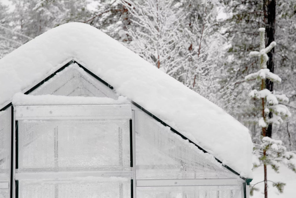 Canopia® by Palram Harmony™ Greenhouse, 6'