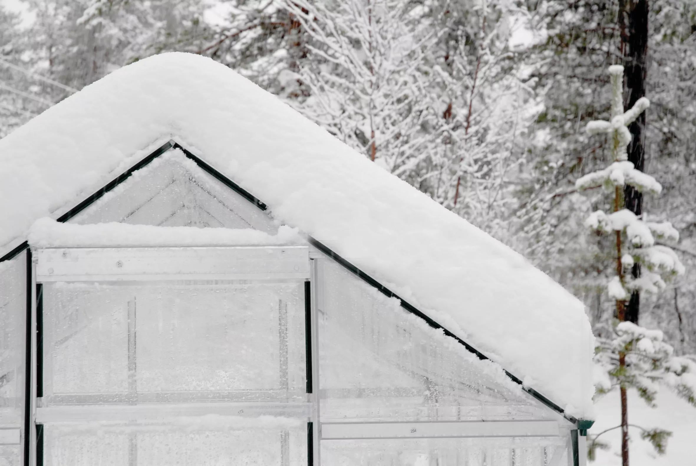 Canopia® by Palram Harmony™ Greenhouse, 6'