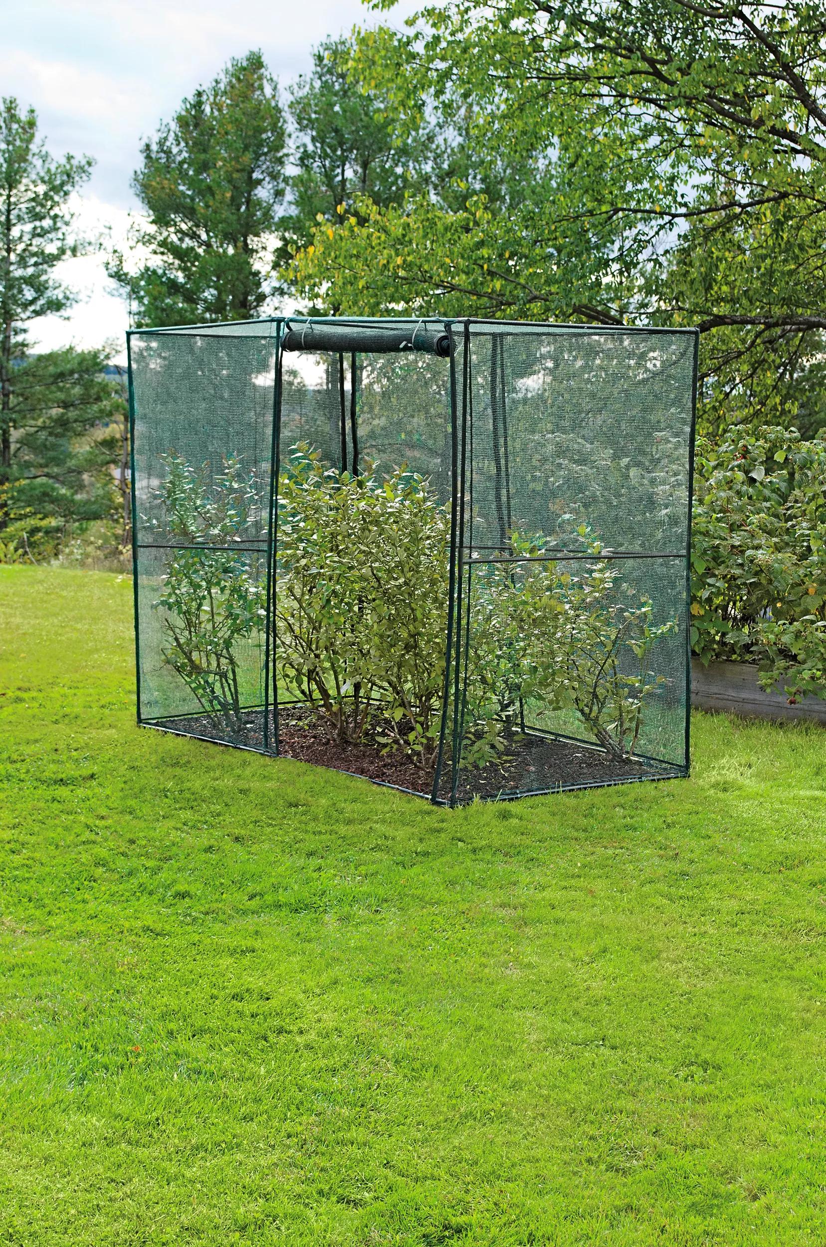 Crop Cage, 4' x 8'