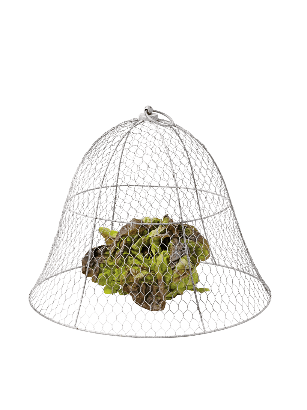 Chicken Wire Cloche