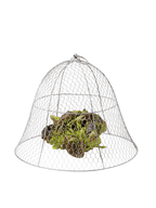 Chicken Wire Cloche