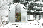 Canopia® by Palram Snap & Grow Greenhouses