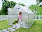 Canopia® by Palram Essence™  Greenhouse, 8' x 12'