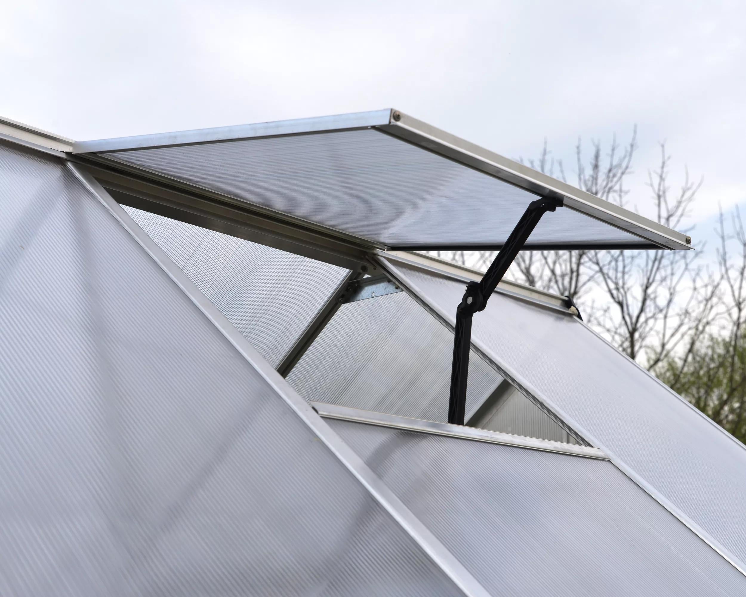 Canopia® by Palram Essence™  Greenhouse, 8' x 12'