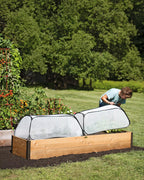 Row Shelter Accelerator