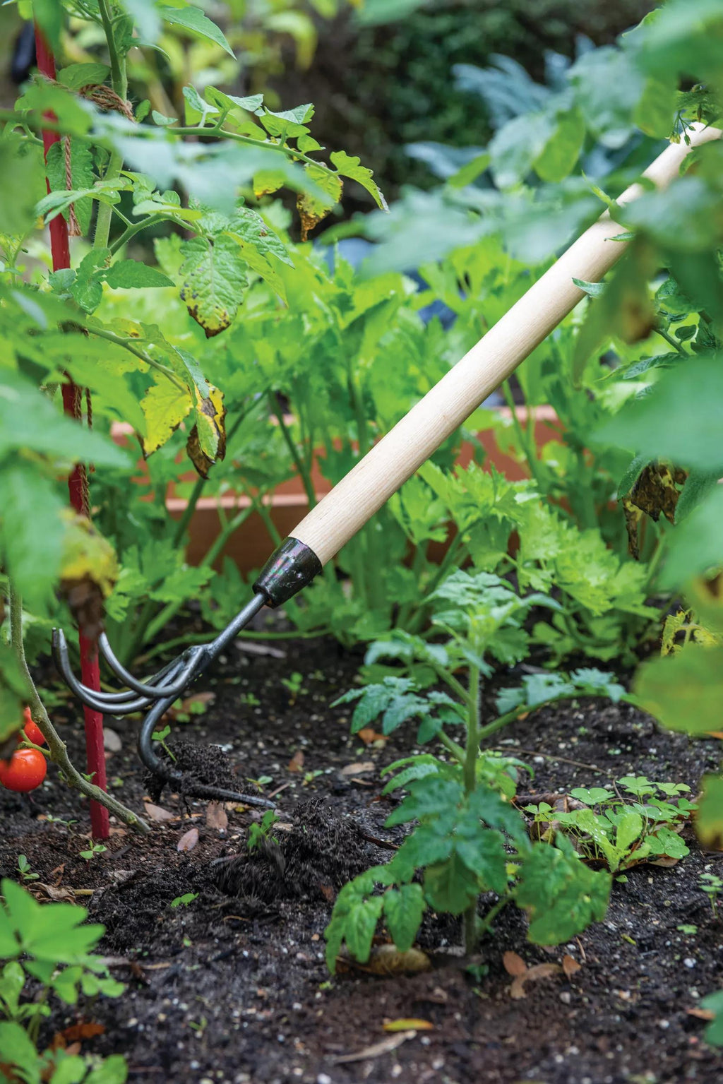 Gardener's Lifetime Long-Handled Double Tool