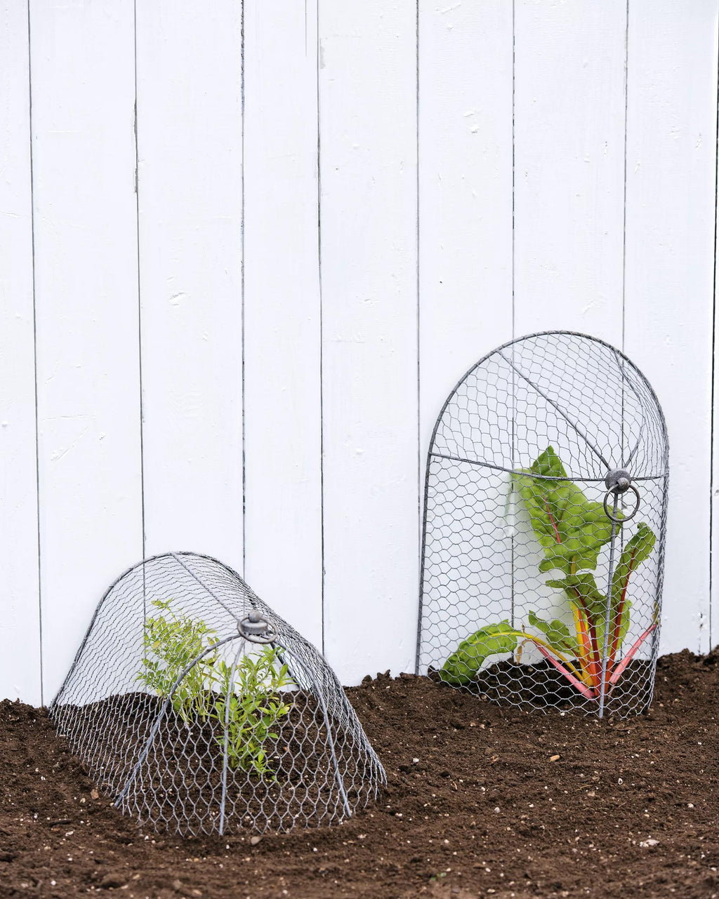 3-in-1 Chicken Wire Cloche
