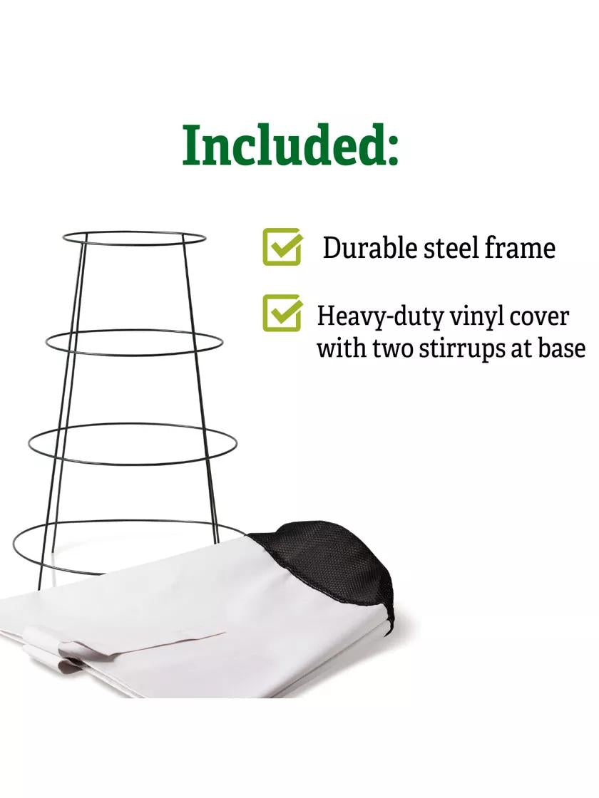 Rosy Cozy®  Rose Cone, Large