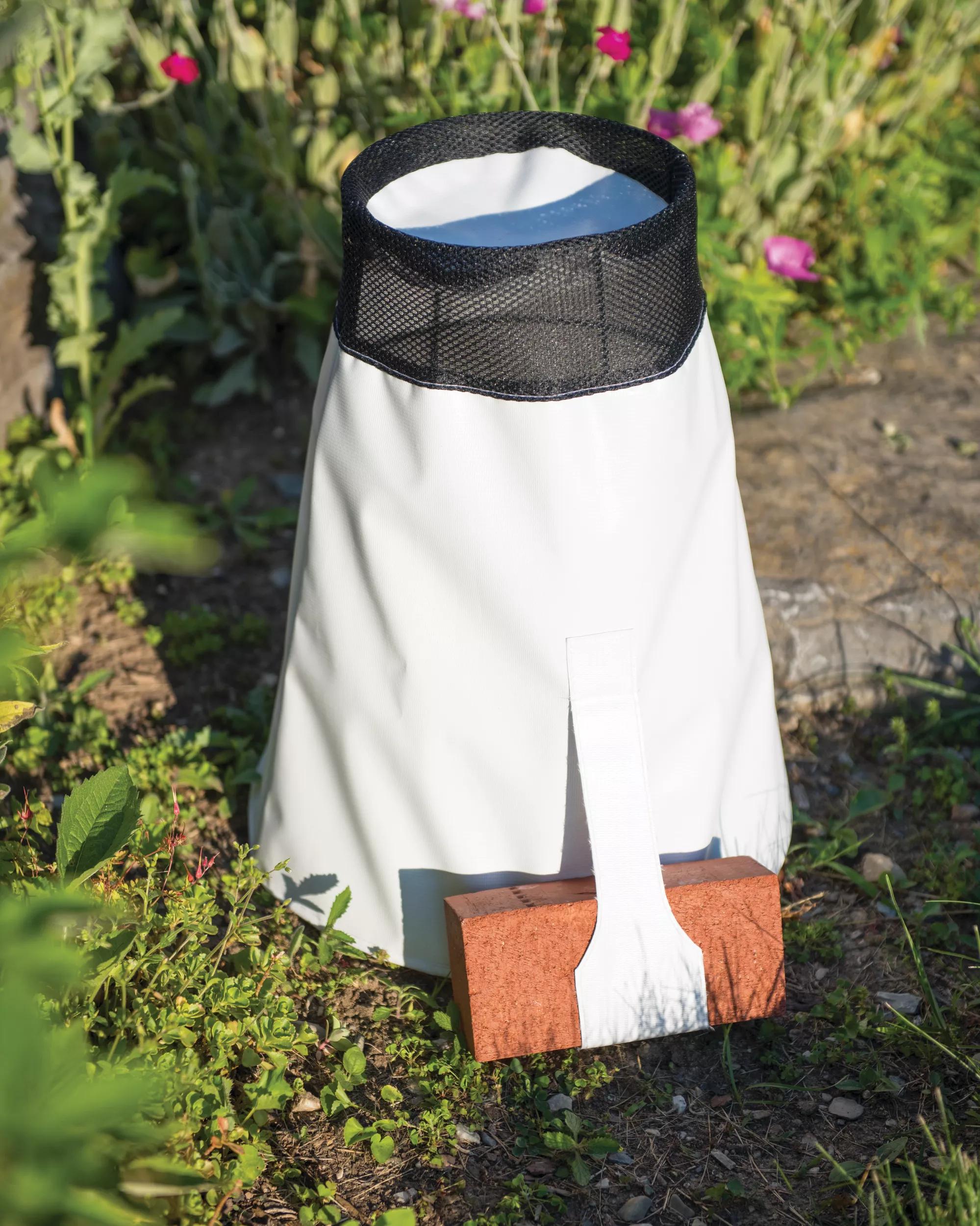 Rosy Cozy®  Rose Cone, Large