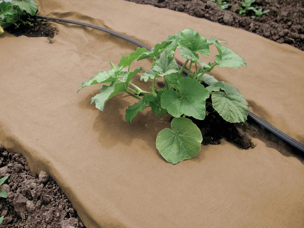 Weedguard Plus Paper Mulch, 50'