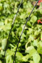 Adjustable Super Hoops, Set of 3