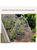 Chicken Wire Cloche Extension