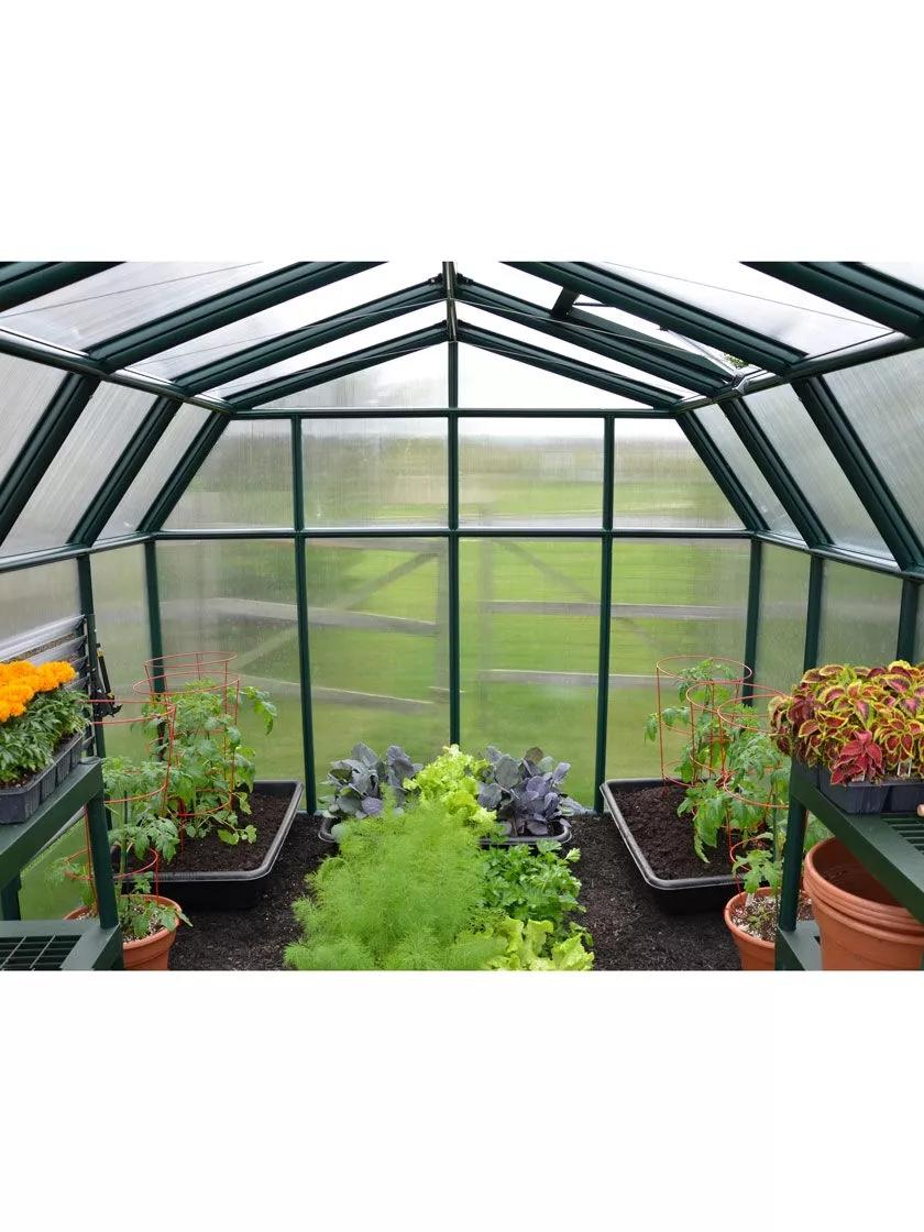 Canopia® by Palram Hobby Gardener Greenhouse, 8'