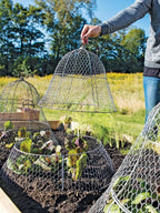 Chicken Wire Cloche with Extension