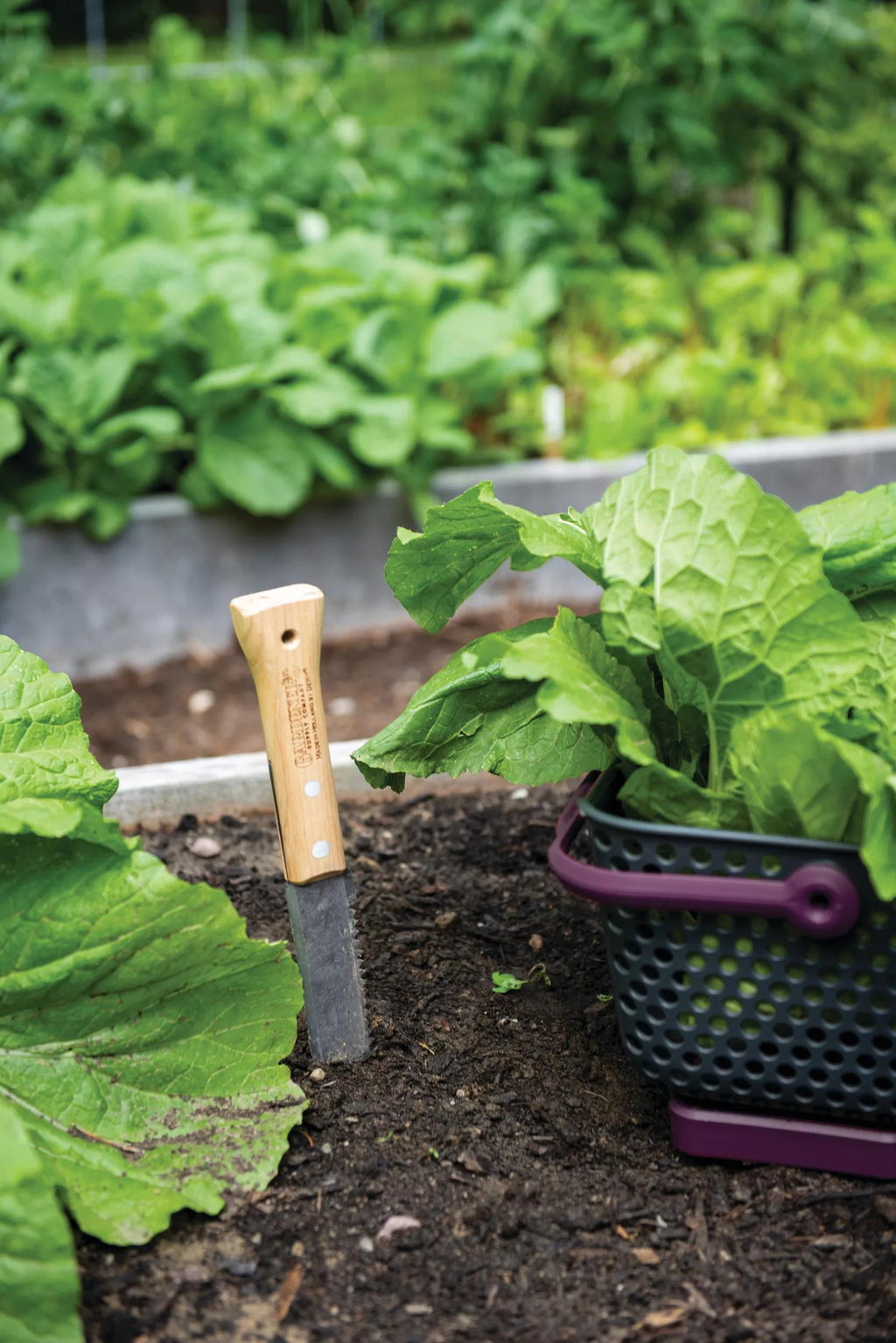 Gardener's Lifetime Hori Hori Knife