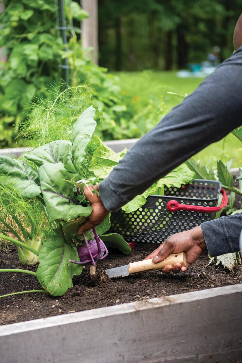Gardener's Lifetime Hori Hori Knife