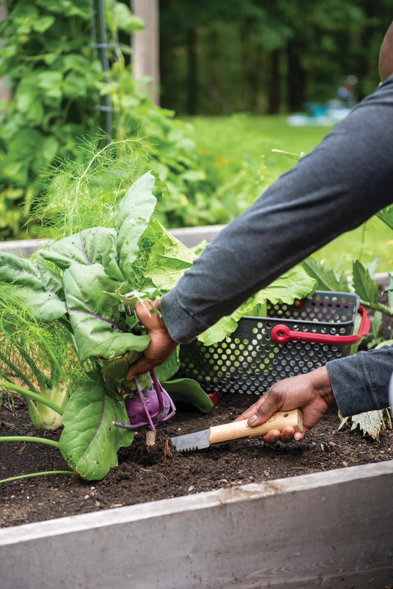 Gardener's Lifetime Hori Hori Knife
