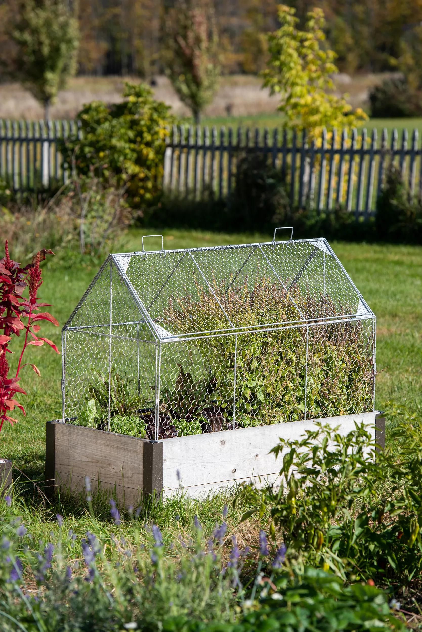 Chicken Wire Crop Coop