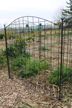 4 Panel Critter Fence