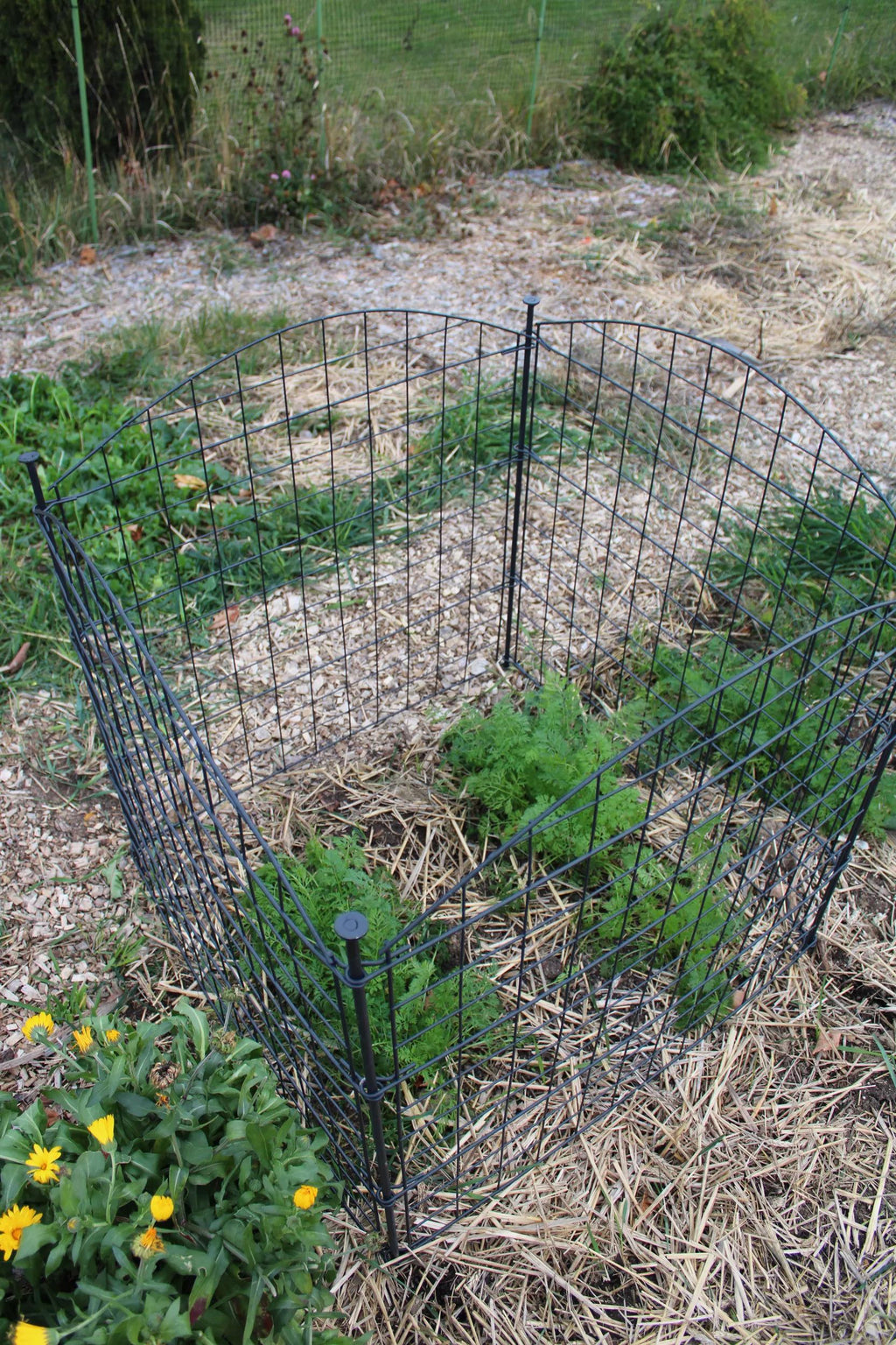 4 Panel Critter Fence