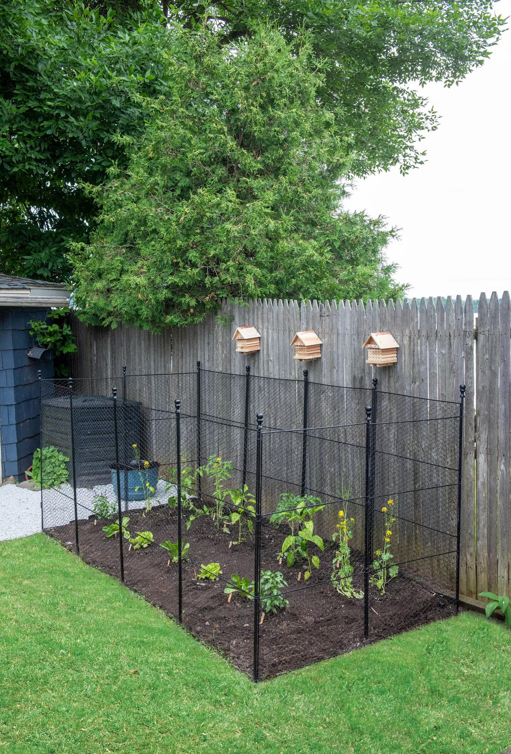 Tall Chicken Wire Critter Fence Extension Panel, Set of 2