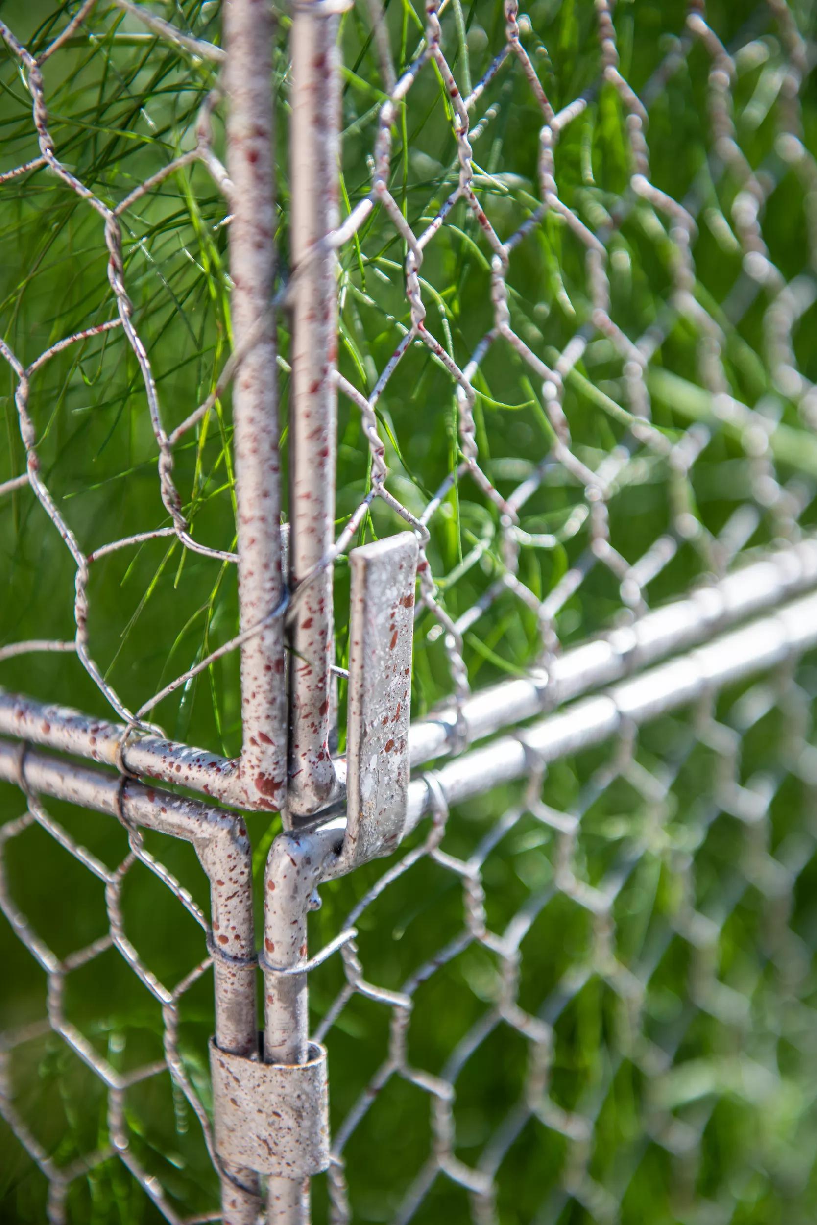 Chicken Wire Crop Coop Extension
