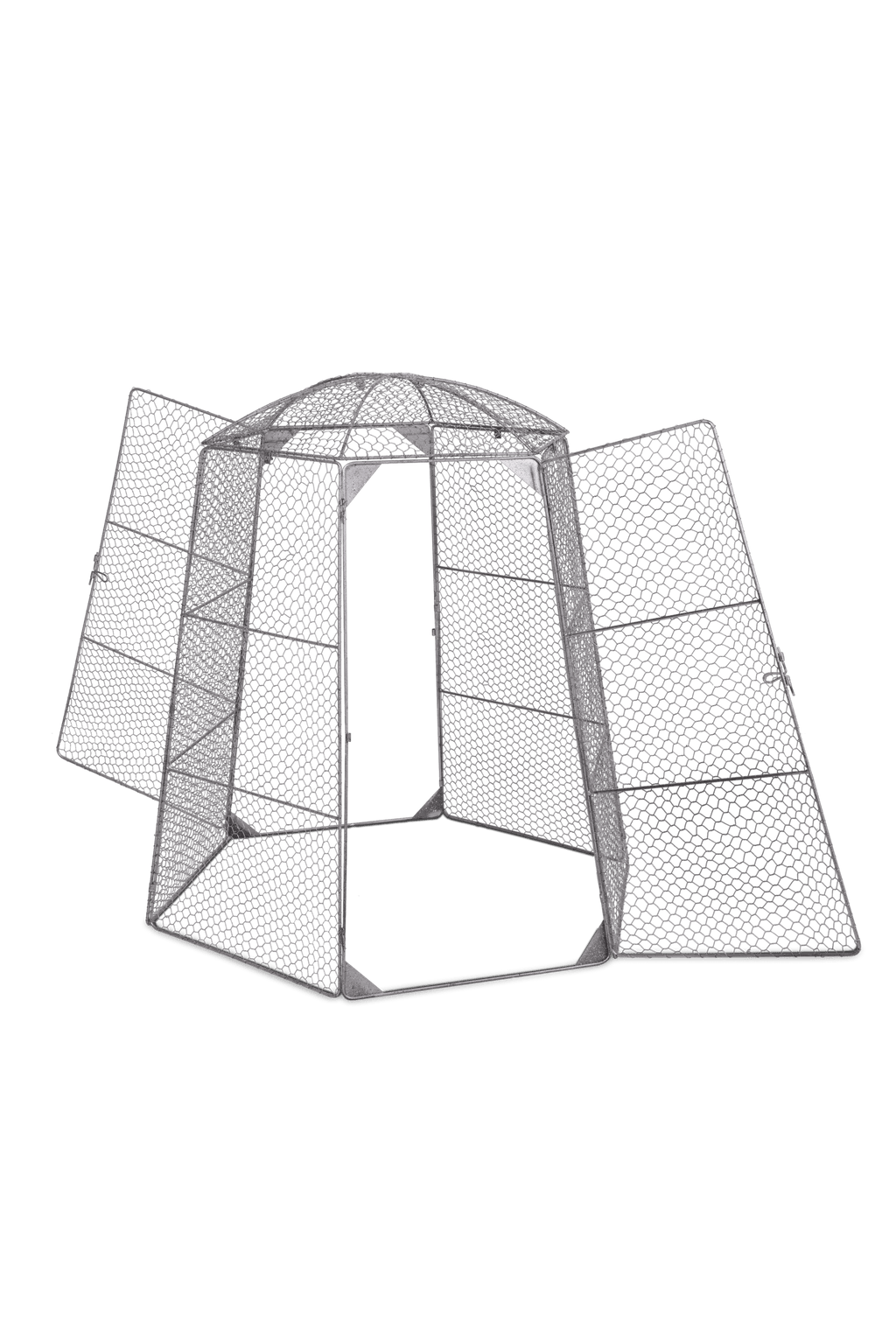 Chicken Wire Super Dome