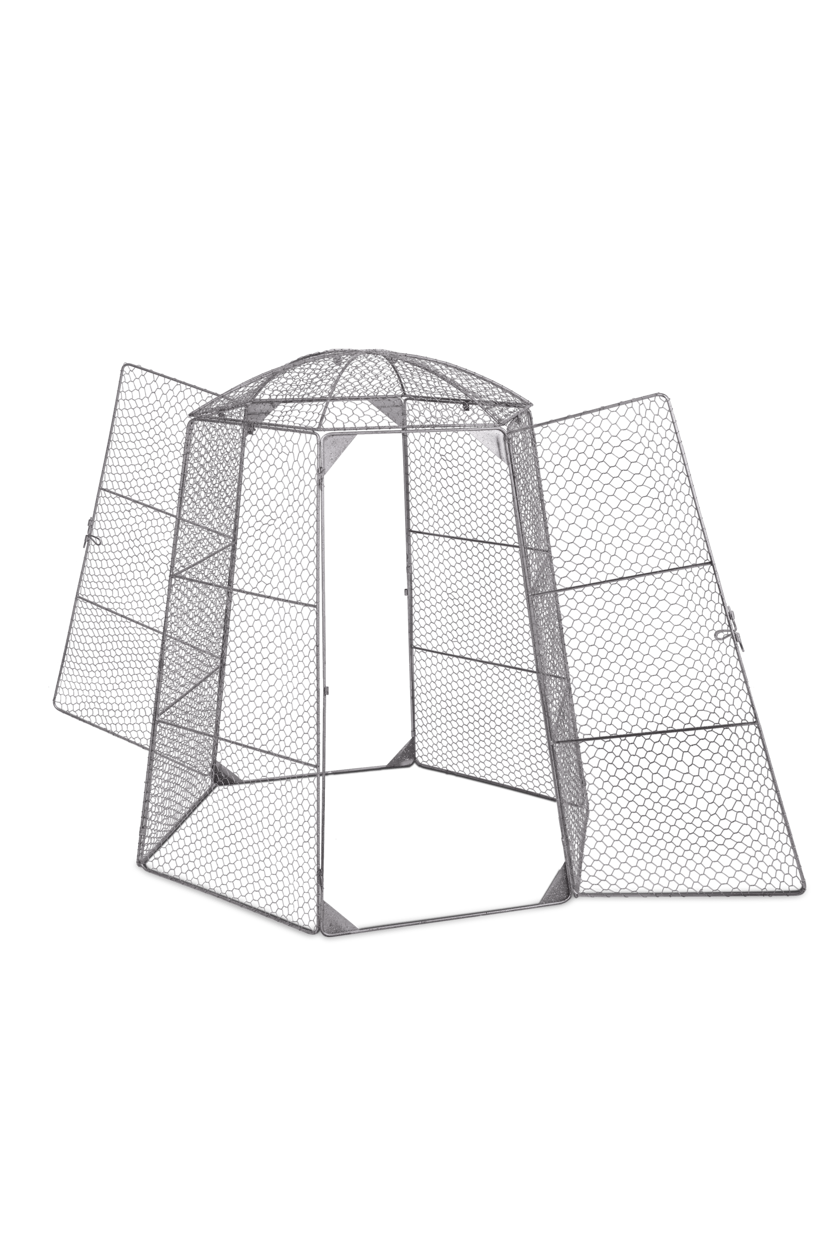Chicken Wire Super Dome
