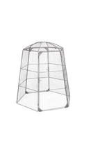 Chicken Wire Super Dome