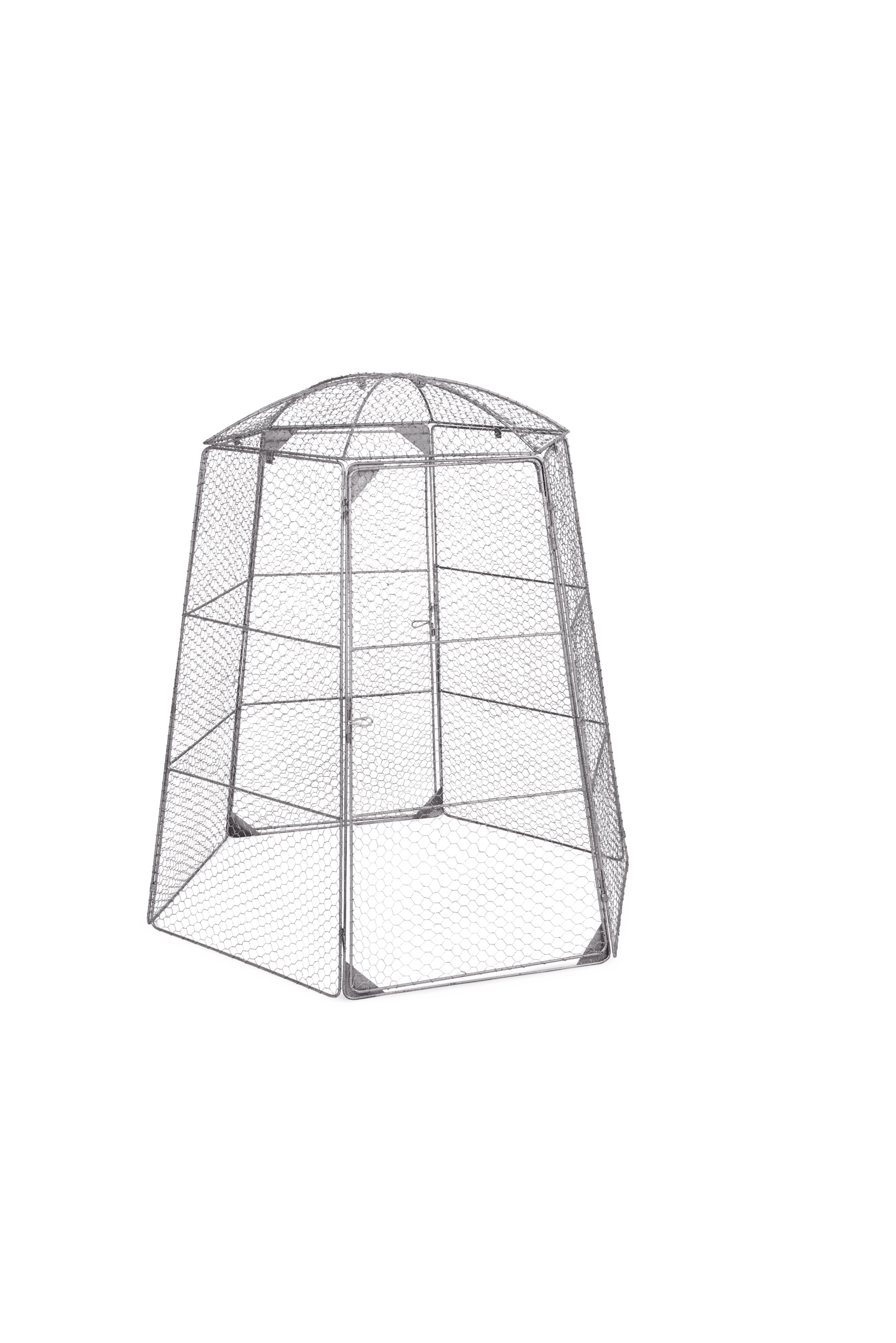 Chicken Wire Super Dome