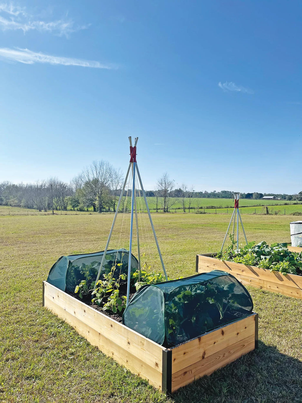 Insect and Pest Net Row Protector