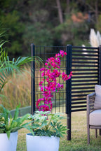 Randolph Freestanding Trellises