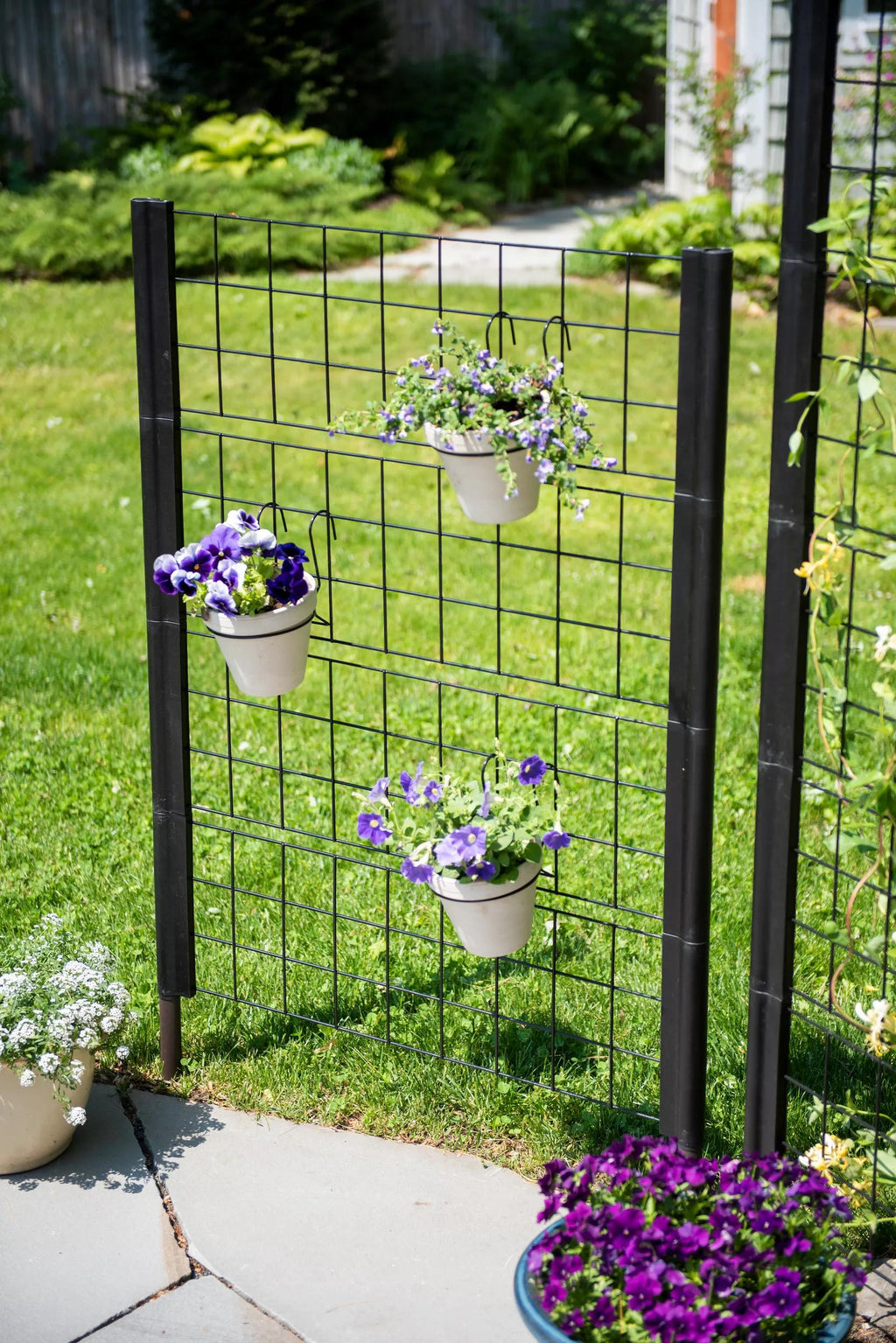 Randolph Freestanding Trellises