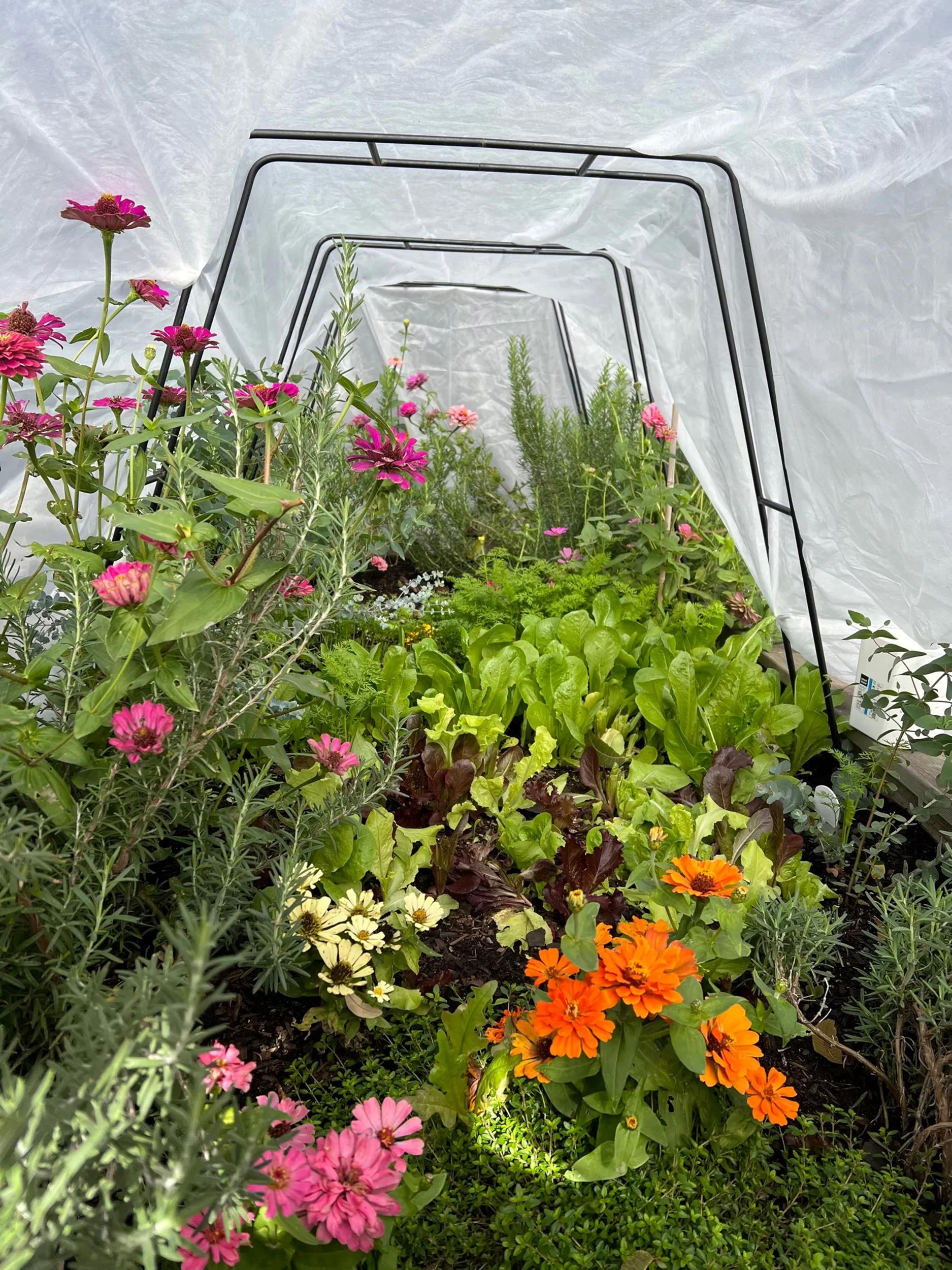 Zenith Garden Hoops, Set of 4