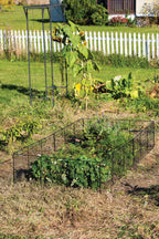 Chicken Wire Critter Fence, 16" High