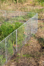 Chicken Wire Critter Fence, 16" High