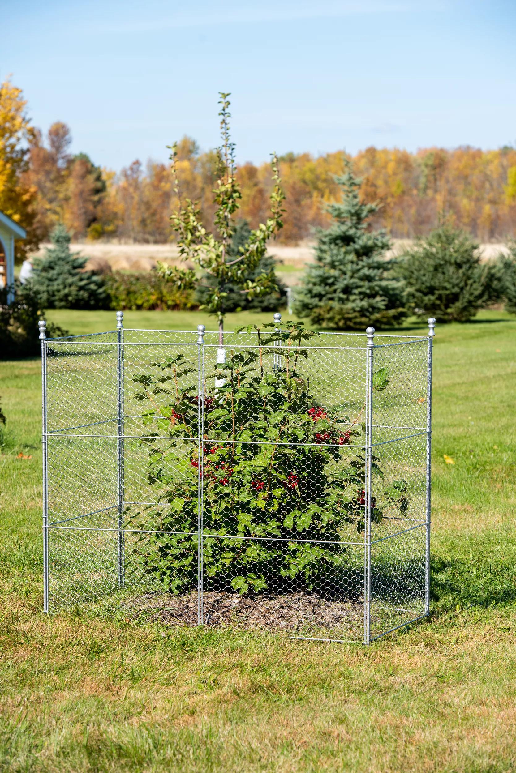 Tall Chicken Wire Critter Fence Extension Panel, Set of 2