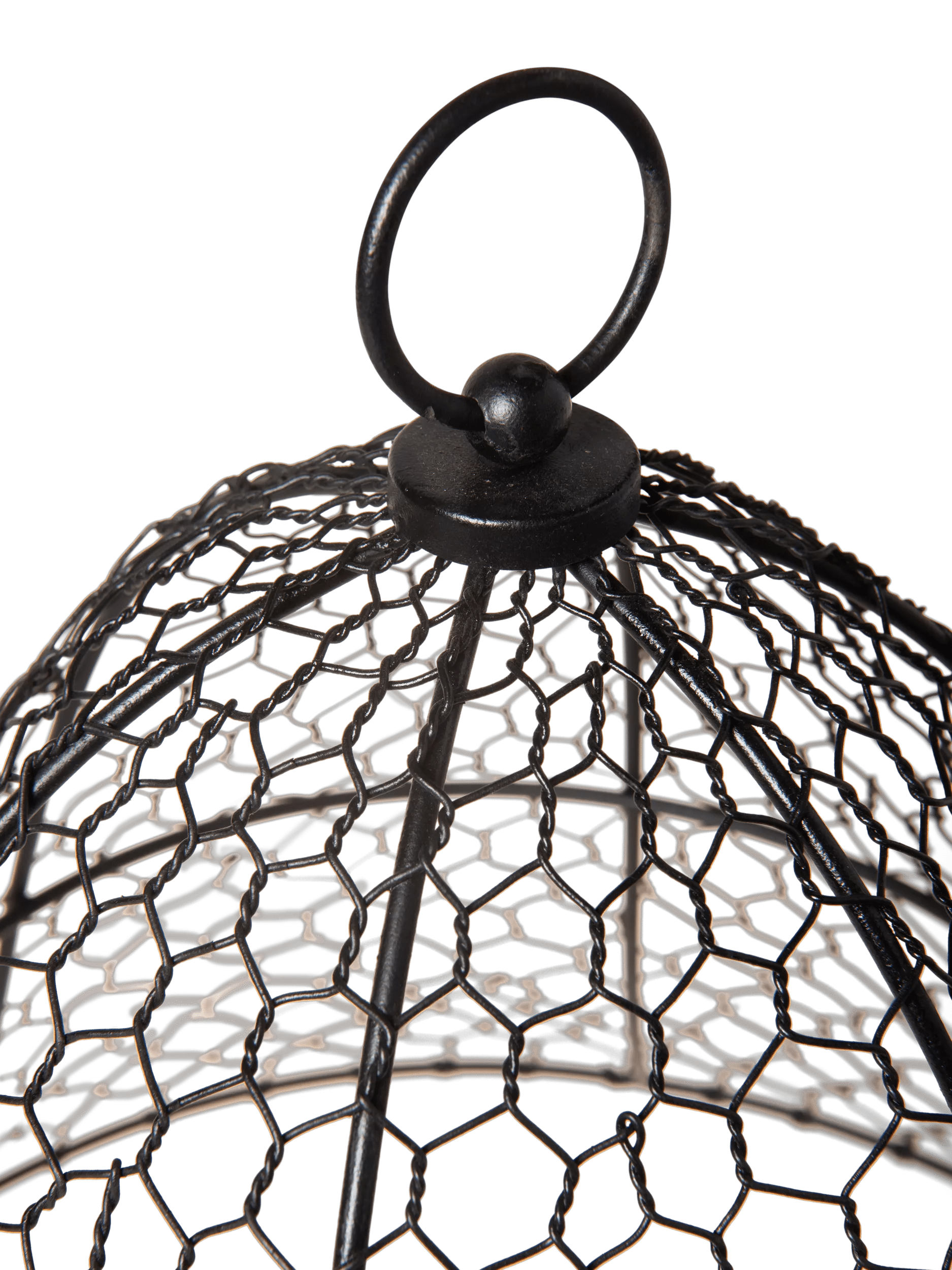 Chicken Wire Cloche